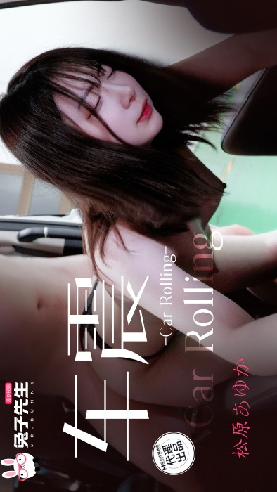 TZ-133: The Obedient Japanese Babe Who Fulfills Every Desire - Outdoor Car Sex with Bareback Creampie